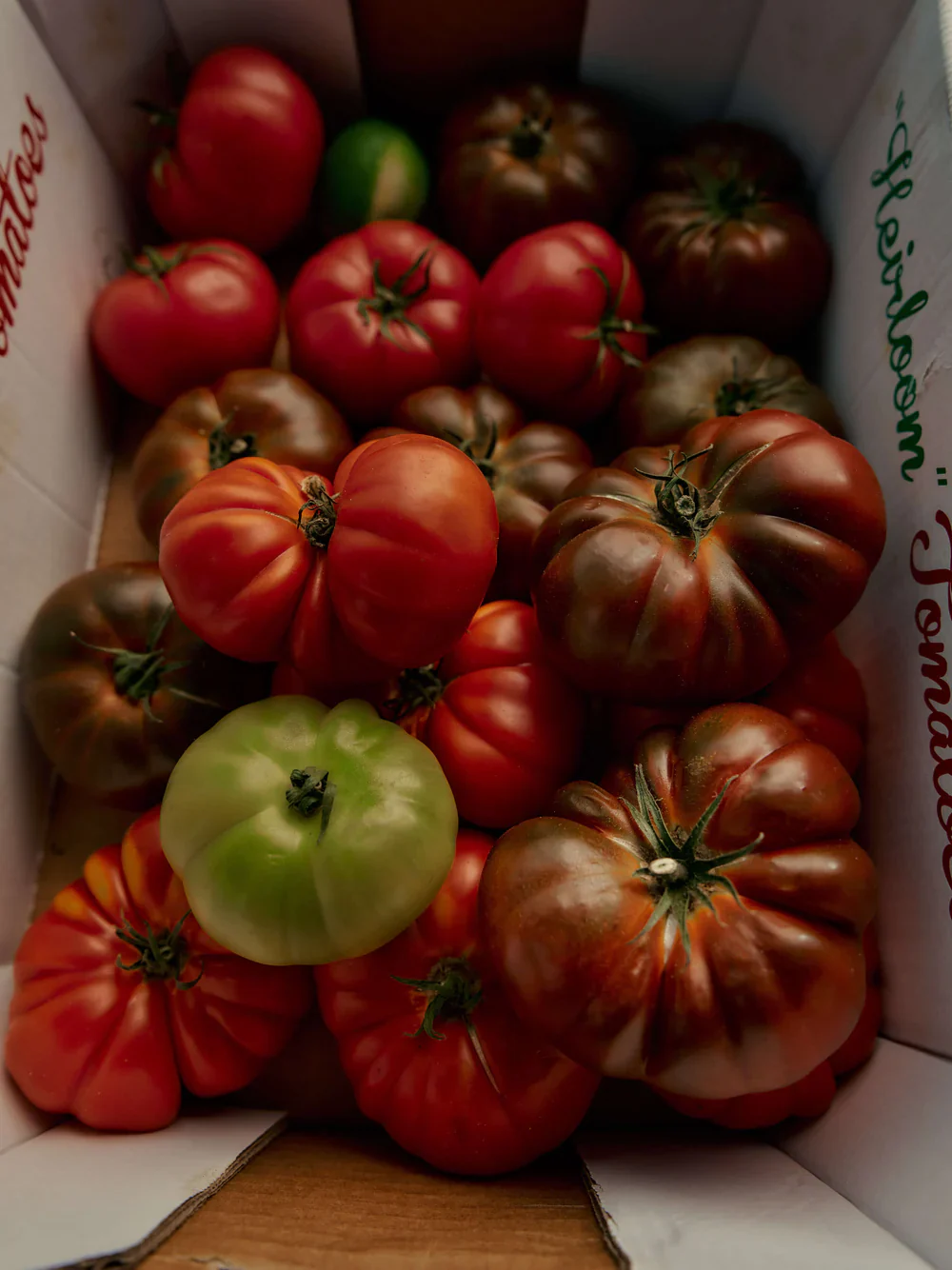 Heirloom Tomato Candle - Image 6