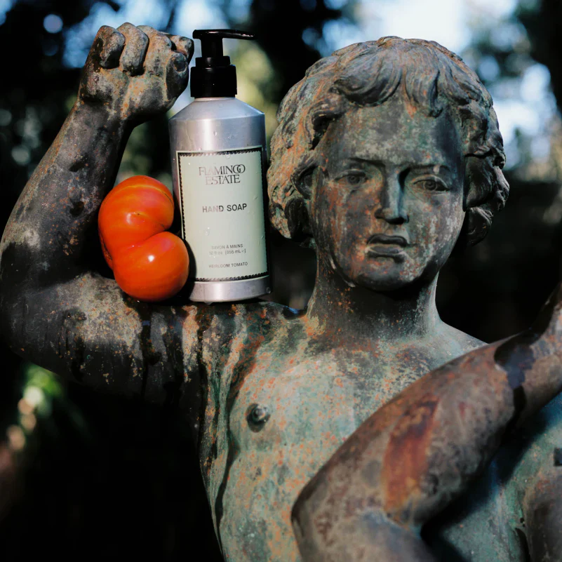 Heirloom Tomato Hand Soap - Image 4