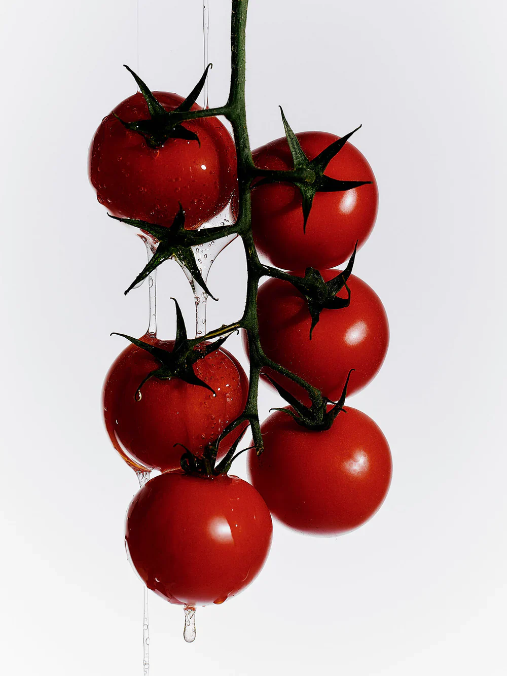 Heirloom Tomato Hand Soap - Image 7